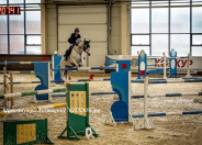 Как прошёл чемпионат Казахстана по конуру