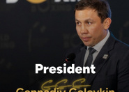 Головкин официально возглавил World Boxing