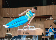 Болгариядағы Challenge Cup кезеңінің финалына үш қазақстандық гимнаст жолдама алды